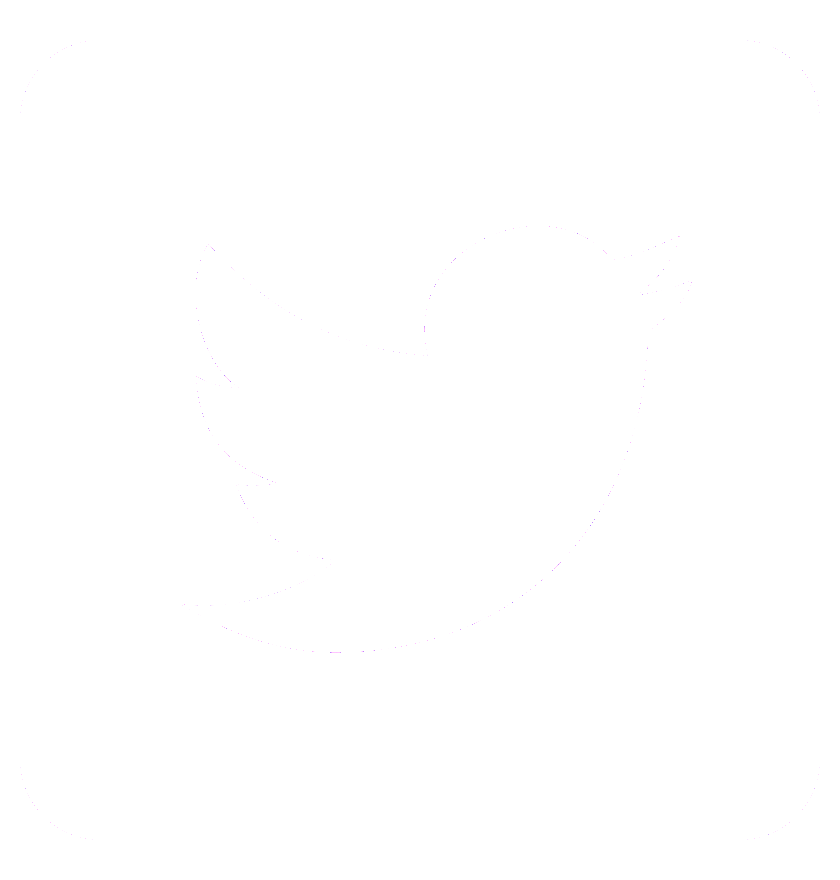Share Page on Twitter